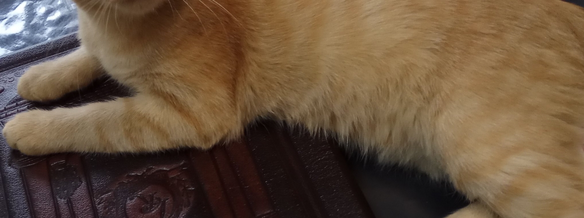 Марина