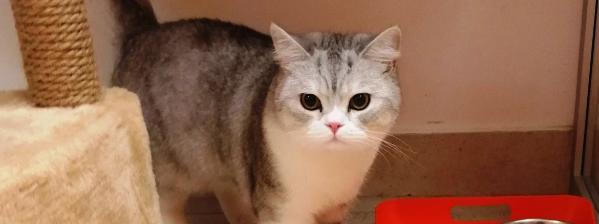 Евгения