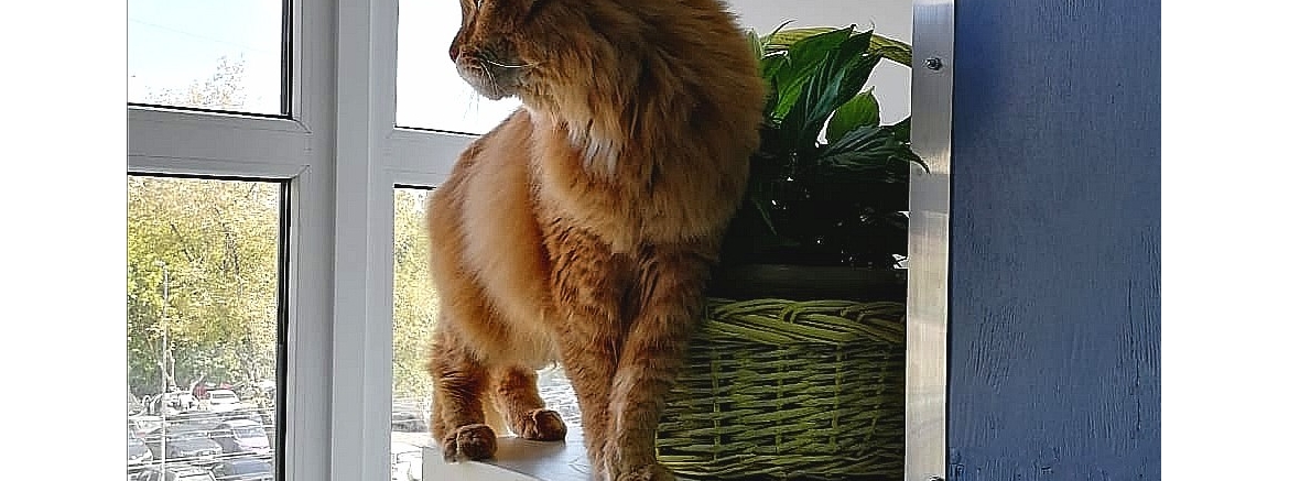 Андрей, август 2019