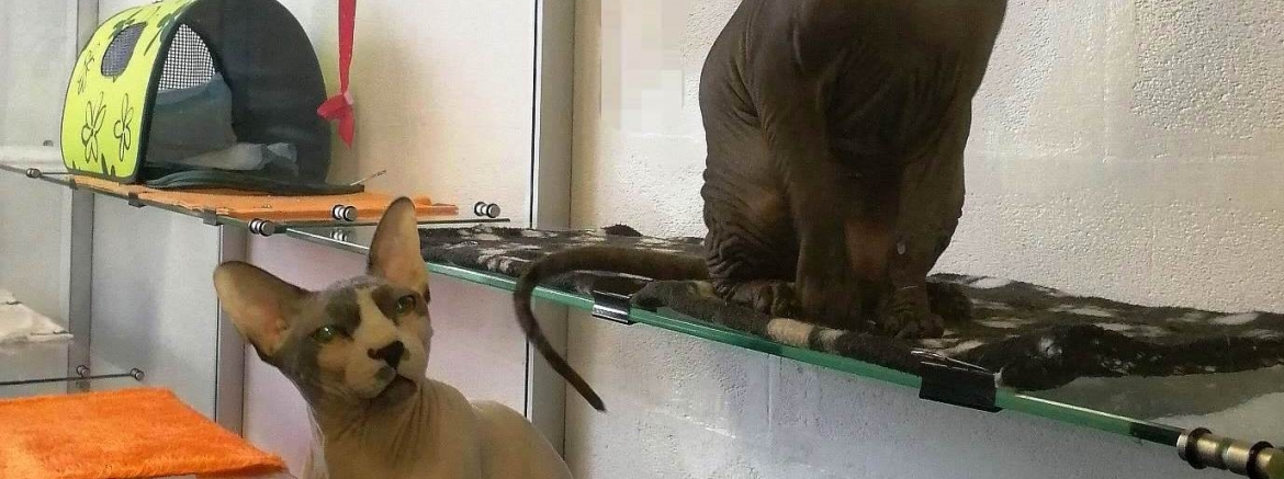 Анастасия, январь 2023