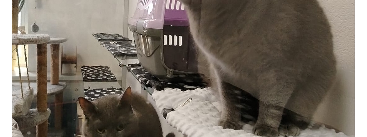 Зульфия, ноябрь 2025