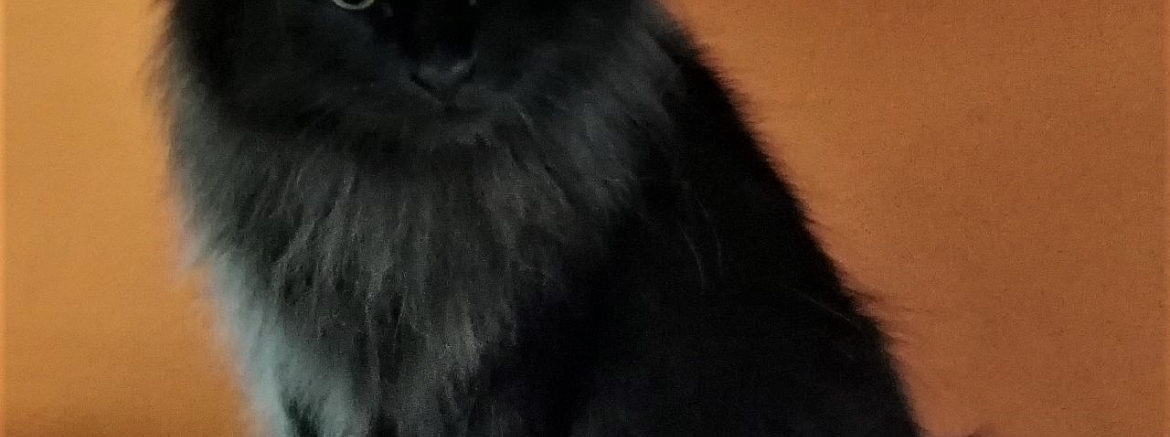 Ирина, декабрь 2025