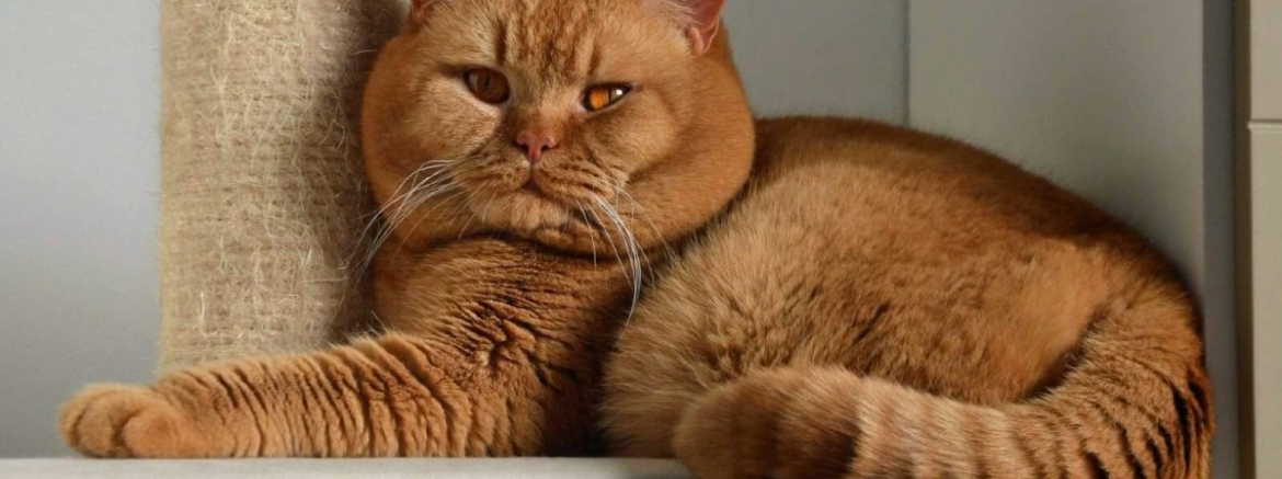 ФОТОГАЛЕРЕЯ 2026