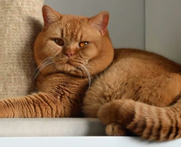 ФОТОГАЛЕРЕЯ 2026