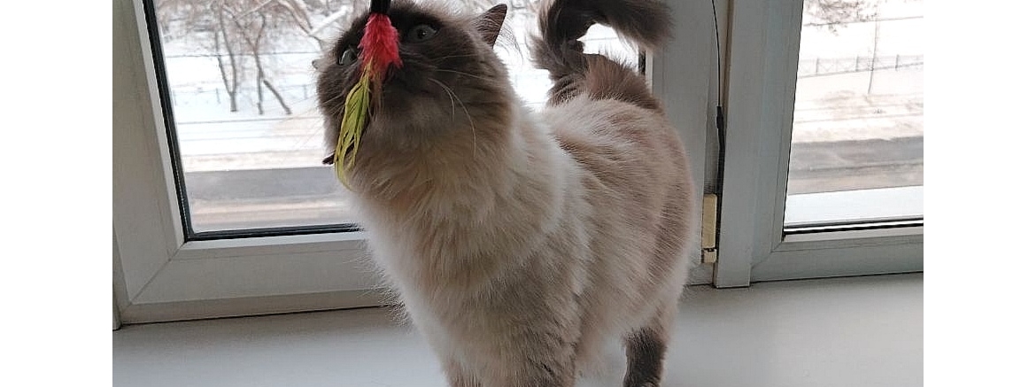 Ольга, январь 2026