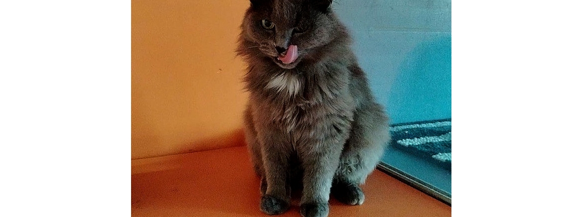 Борис, март 2026