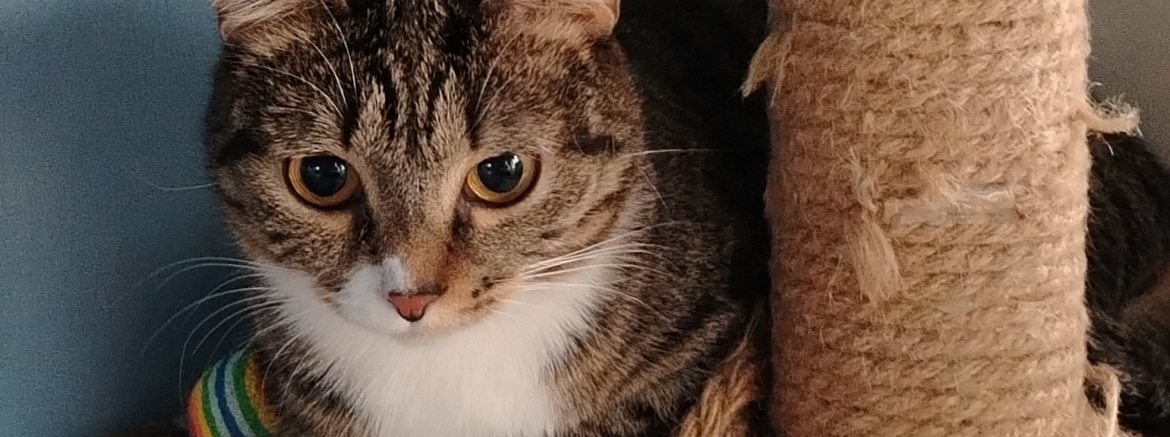 Валентина, апрель 2026