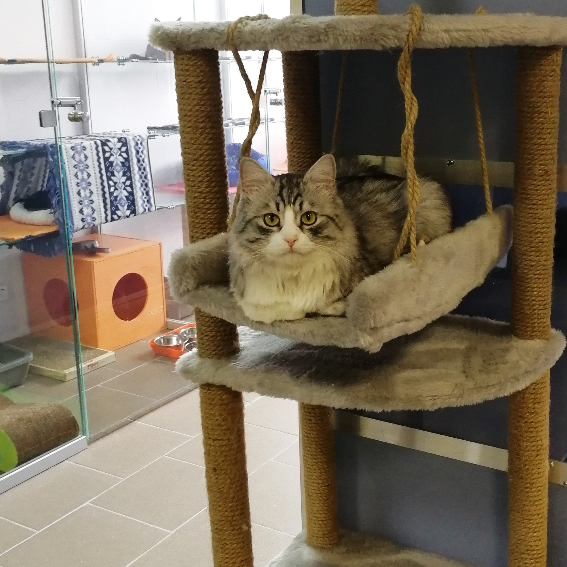 На игровом комплексе