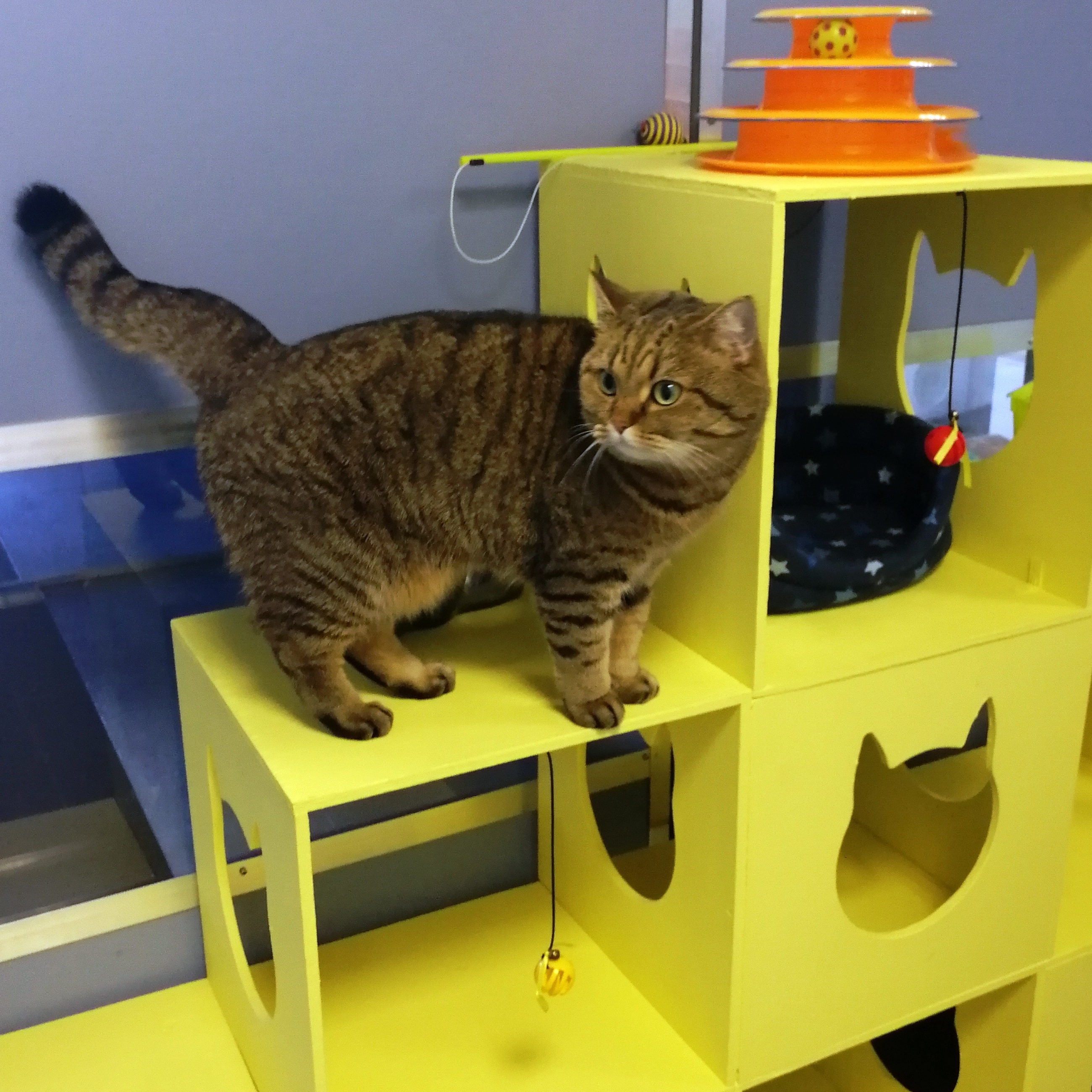 Игровая зона