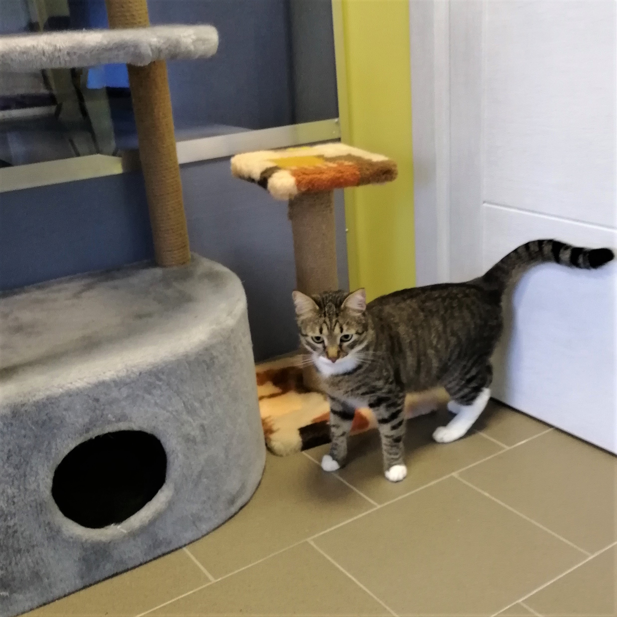 На прогулке