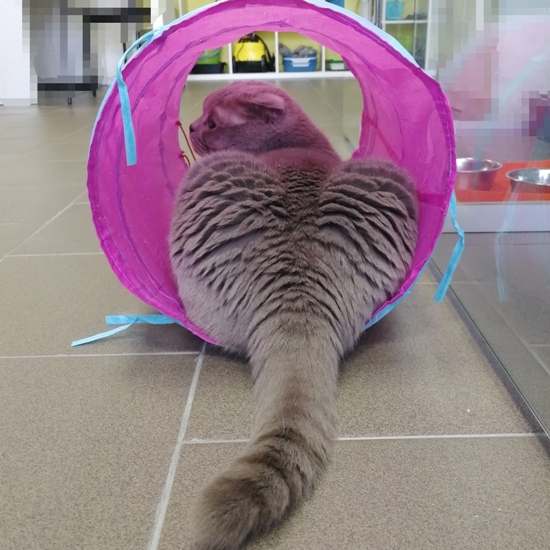 На прогулке