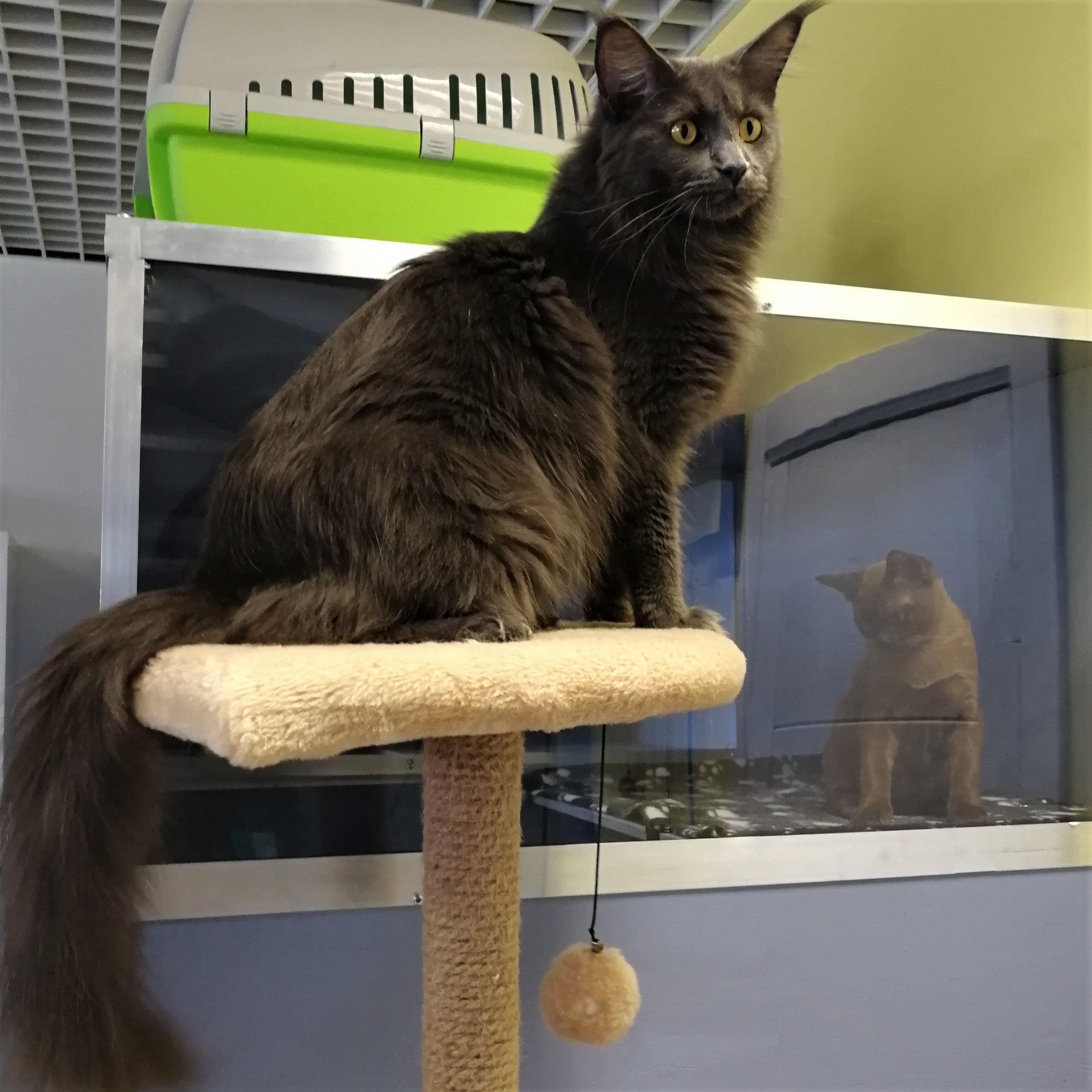 На игровом комплексе