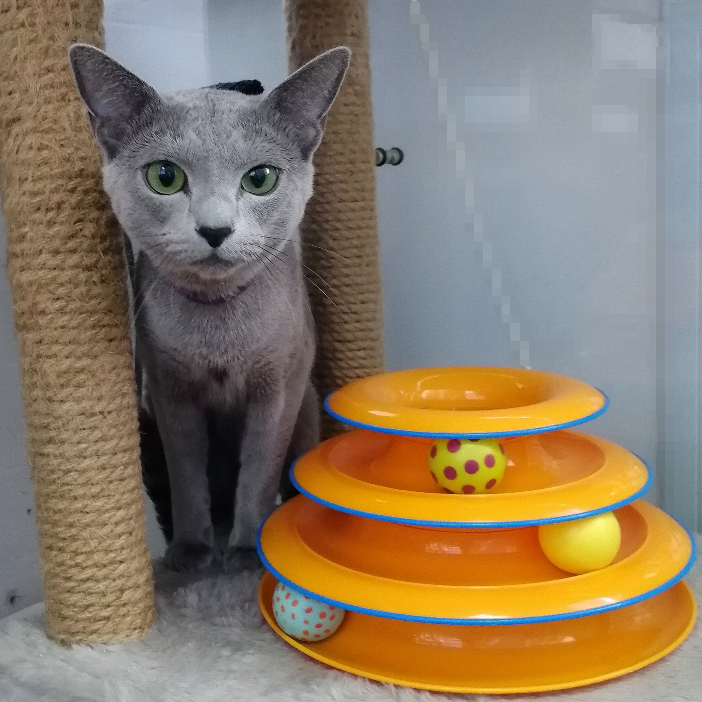 На игровом комплексе